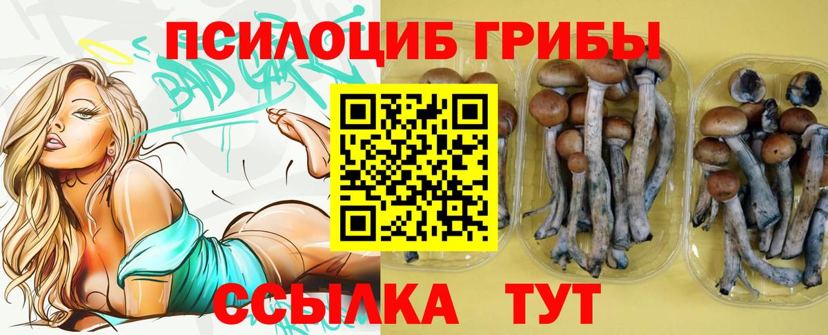 Галлюциногенные грибы Magic Shrooms Курганинск